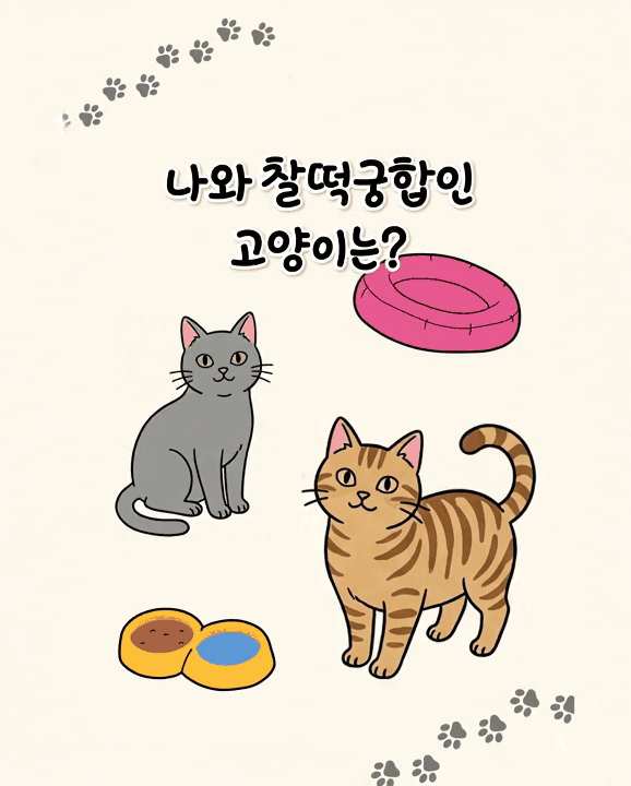 반려묘 테스트 표지